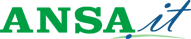 ansa