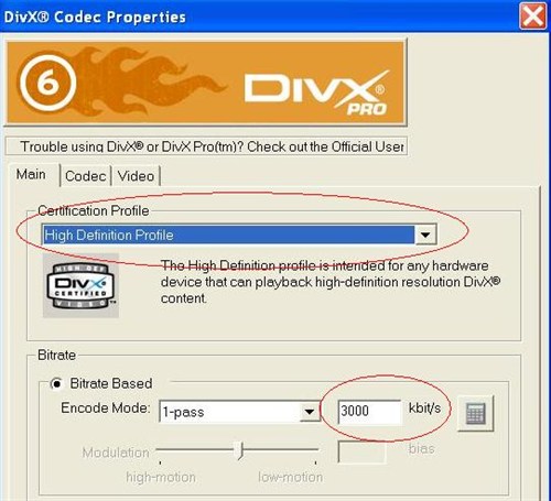 divx_bit