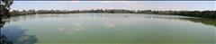 Panoramica