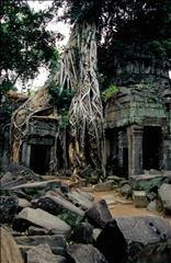 Ta Prohm