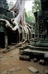 Ta Prohm