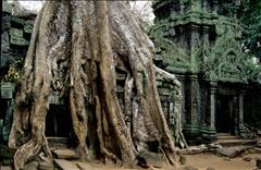 Ta Prohm