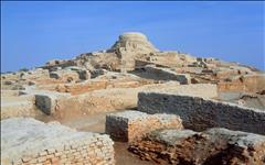 Rovine